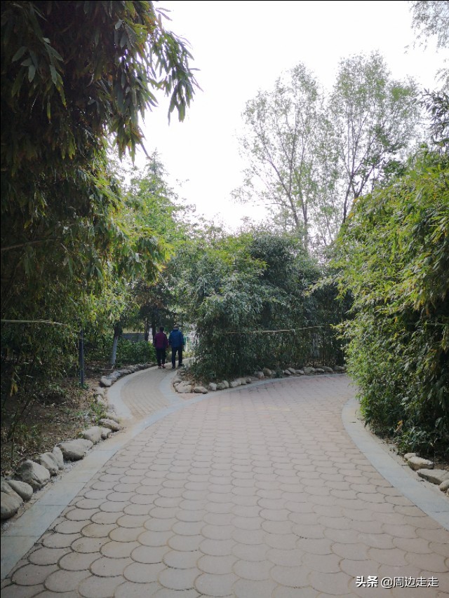 郑州莲花公园地址,郑州市高新区莲花公园捞鱼