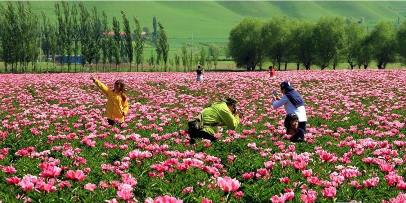 新疆伊犁人间仙境,新疆真正的人间仙境视频