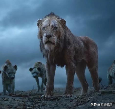 世界足坛五大神兽,世界十大威猛动物