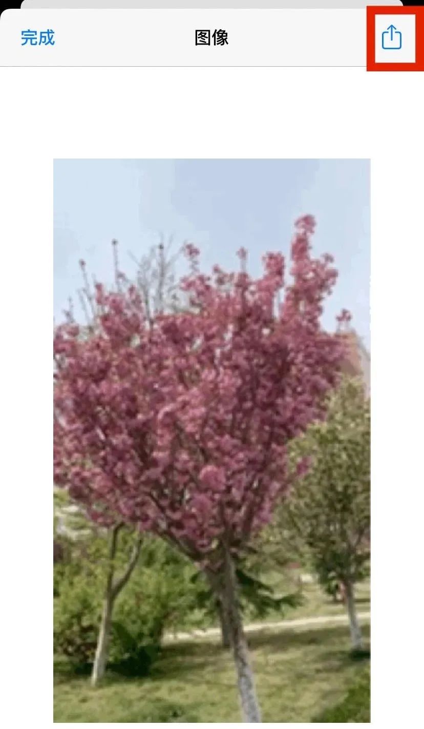 iphone怎么将视频转成gif,iphone照片怎么转换成gif