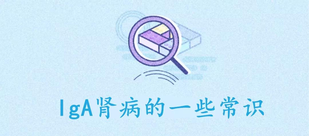 关于iga肾病的科普文章,iga肾病知识及防治科普教育讲座