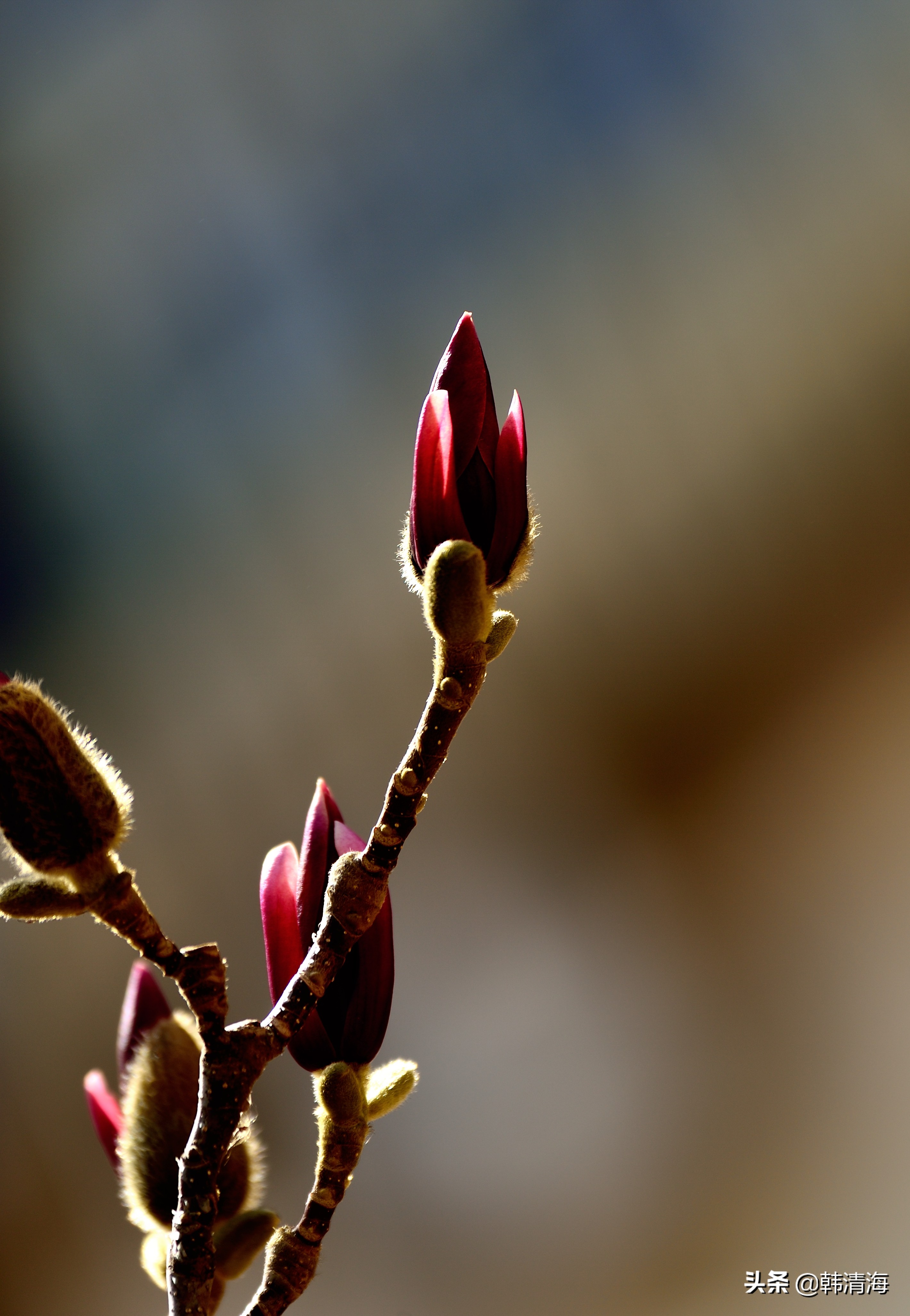 天津南开水畔花园洋房,天津南开区水畔花园