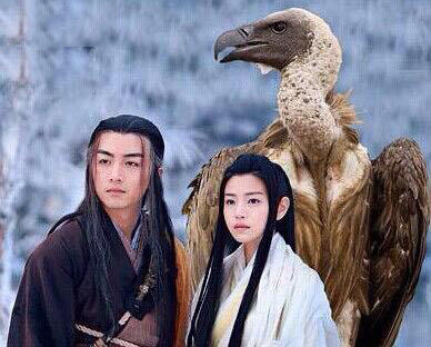 各版神雕侠侣中的大雕,神雕里面的雕结局