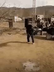 让人一看就能笑死的沙雕图片,史上最沙雕的100张图片