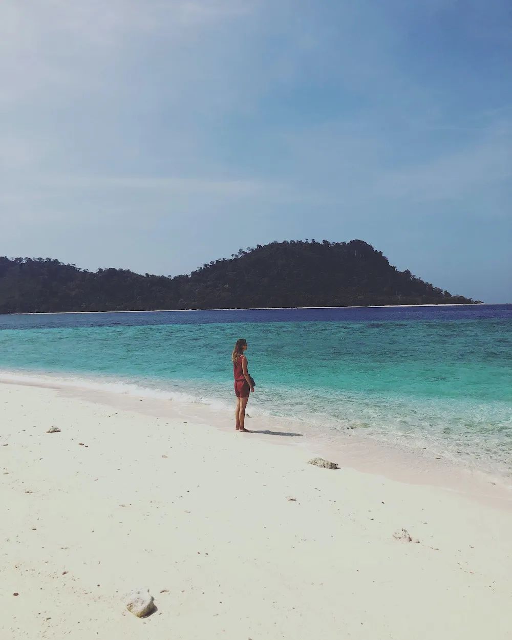 恋恋丽贝岛，人狗情未了|KohLipe