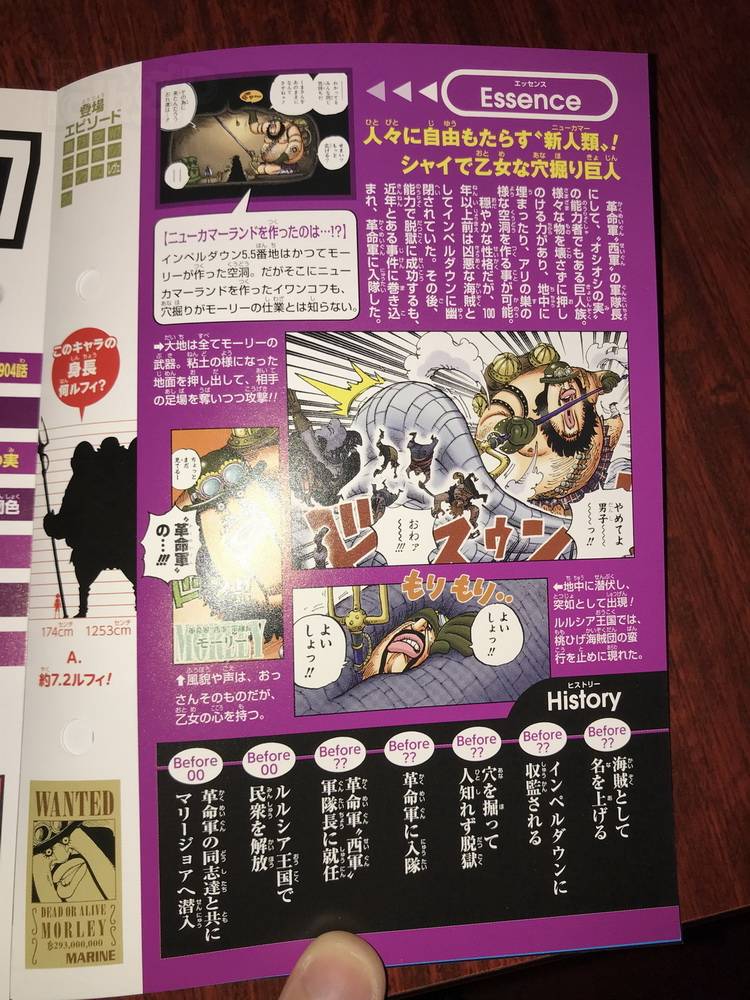 海贼王生命卡完整排名,海贼王生命卡信息