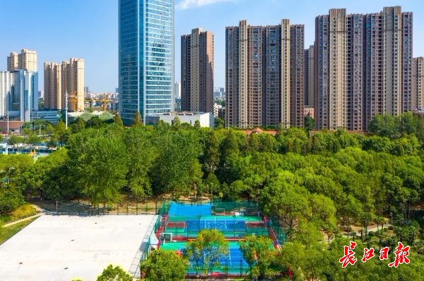 武汉东西湖区免费足球场,武汉免费对外开放足球场