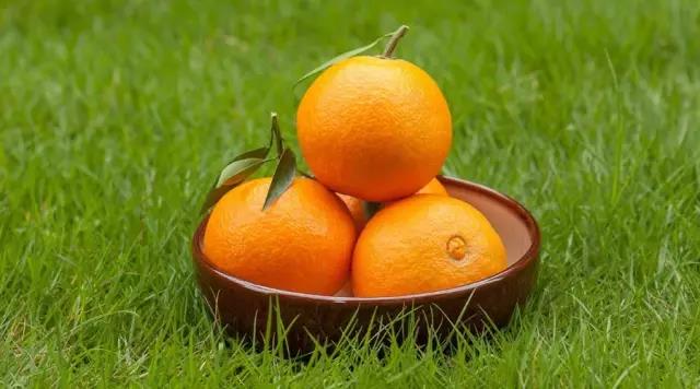 网红果冻橙,网红爆款爱媛果冻橙