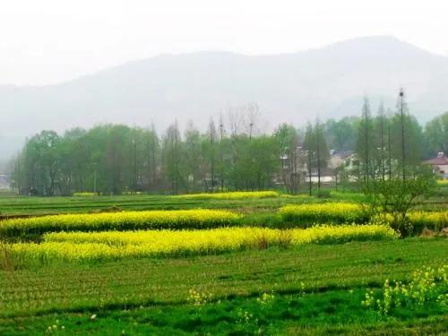 表格填写籍贯是代表什么,为什么填表时要填籍贯有什么意义