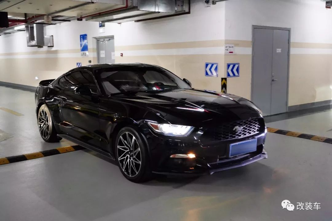 福特mustang杭州,杭州福特野马车友会