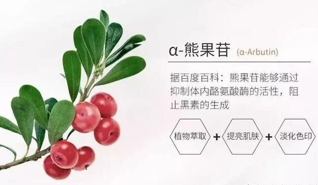 377是精华液吗,377是什么护肤成分怎么用最好