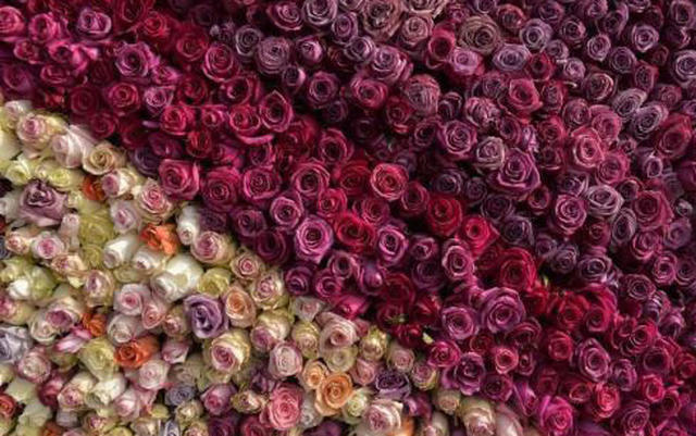 情人节那些事儿,情人节都有哪些事情