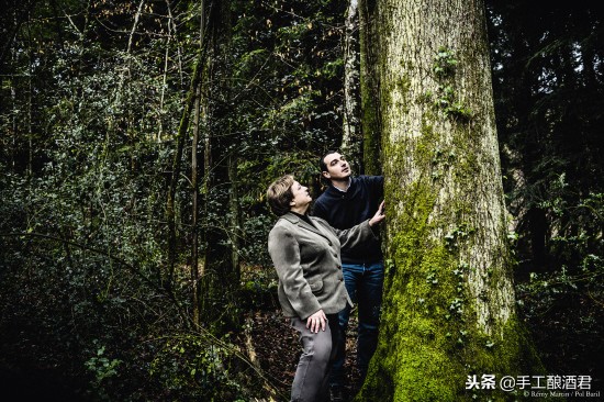 酒塞和橡木桶,木塞和橡木酒塞