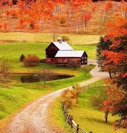 优秀的家庭教育，离不开这10条法则，你做错了，可能会耽误孩子