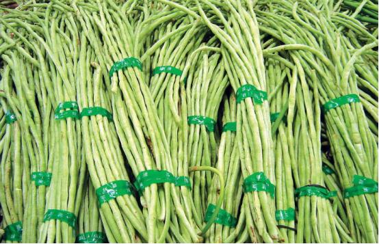 吃不完的豆角这样做能放一年,长豆角吃不完能放冰箱冷冻吗