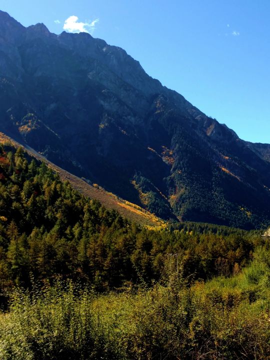 钘忚タ涔嬫梾,瑗胯棌涔嬭