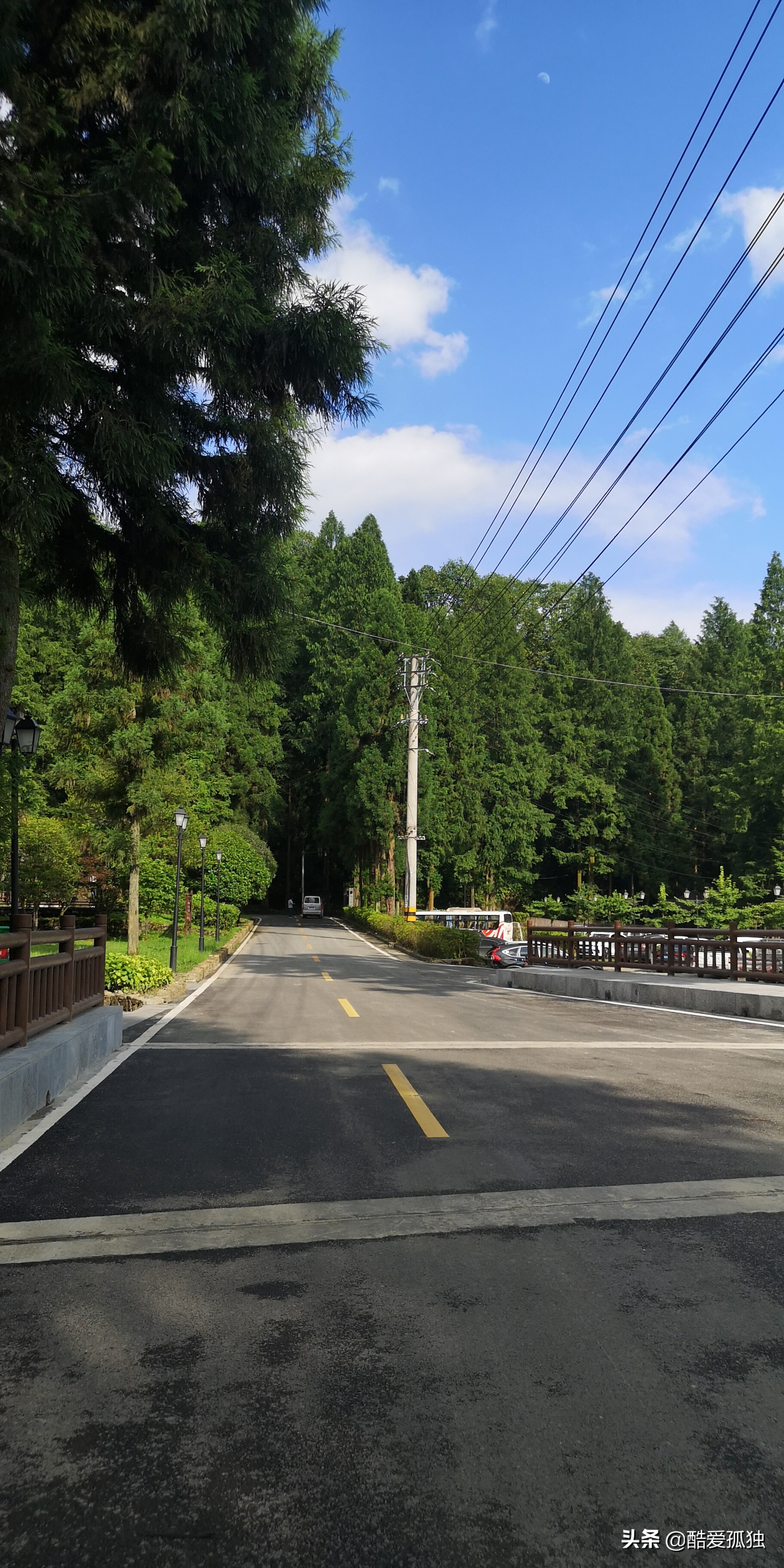 荣放双擎四驱精英plus放一夜没电,2.5荣放双擎plus和探岳四驱智联