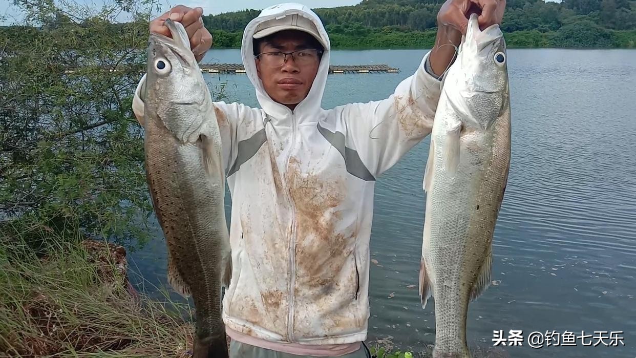 靠海钓捞鱼致富,海钓一条鱼赚100万