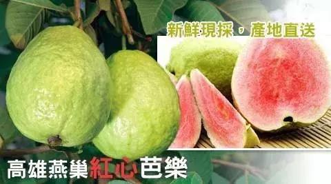 郭台铭在龙华富士康视频,富士康深圳龙华郭台铭