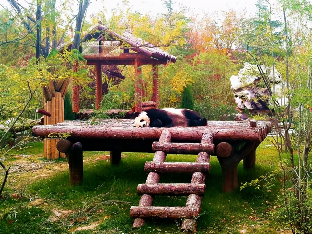 济南市a级景区一览表,山东济南5a景区