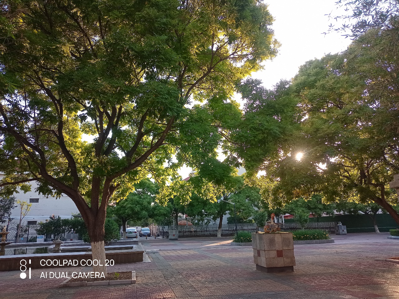 酷派cool20和红米10a哪个更好,酷派cool20和酷派cool20pro