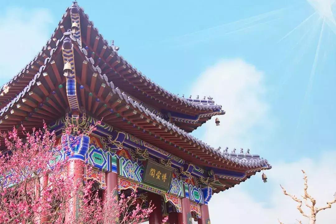 闻香寻梅最新图片,闻香寻梅最新视频