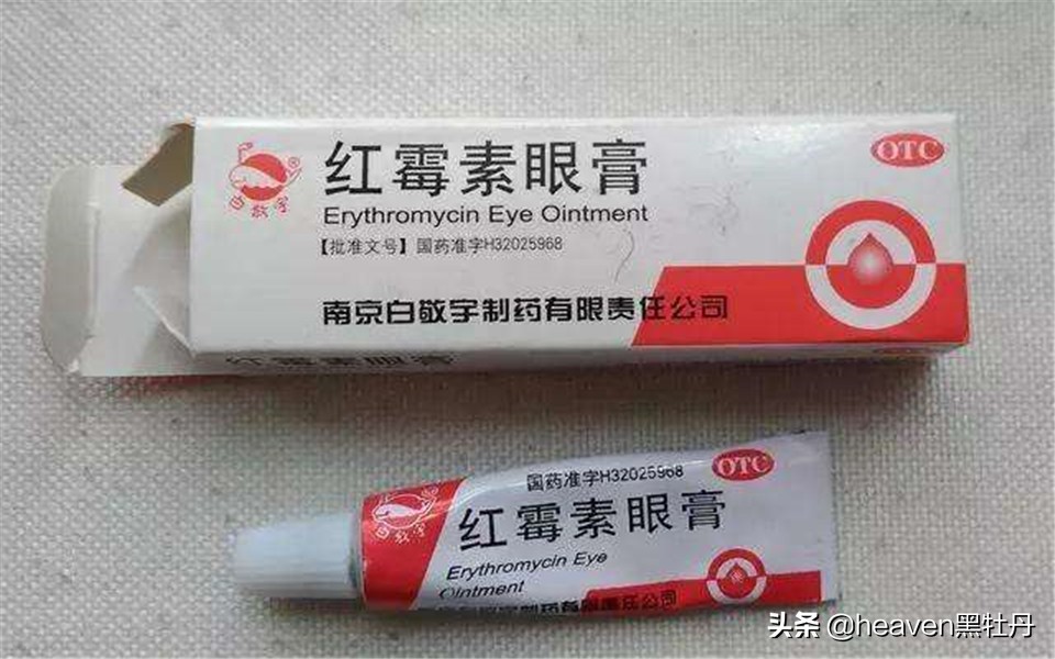 赛鸽什么情况下容易感染单眼伤风,幼鸽前期怎么预防单眼伤风