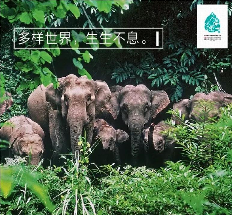 人们应该做什么来保护生物多样性,人类自身应该如何保护生物多样性