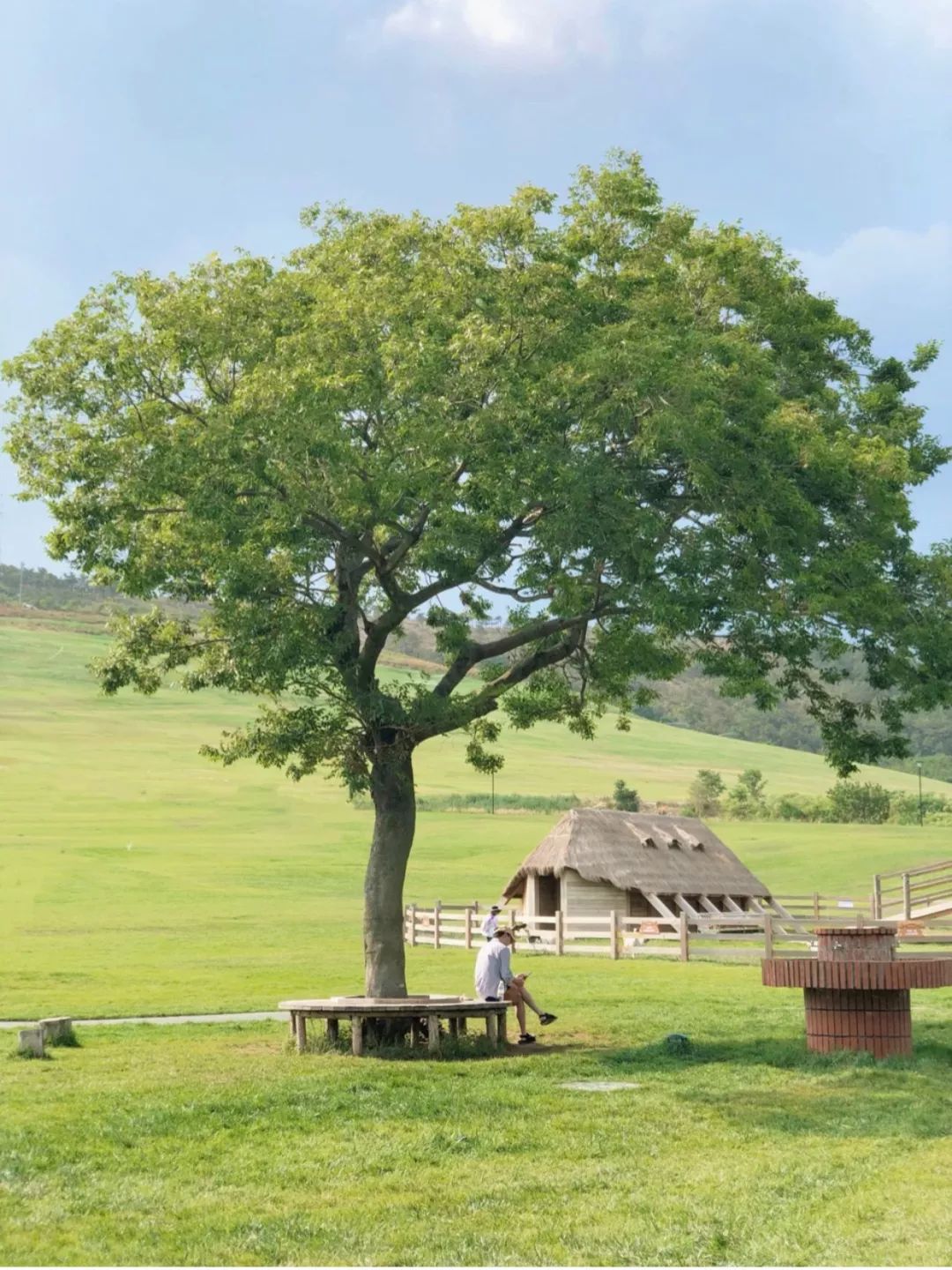 戴口罩的冬天太漫长，差点忘了中国的春天有多美