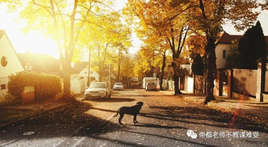 孩子学习钢琴的重要性,孩子学钢琴到底有没有必要