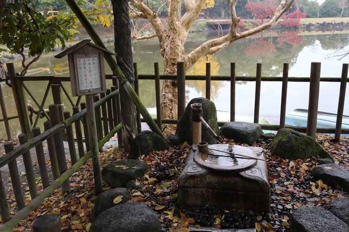 日本京都枫叶季旅游攻略,日本关西赏枫旅游攻略