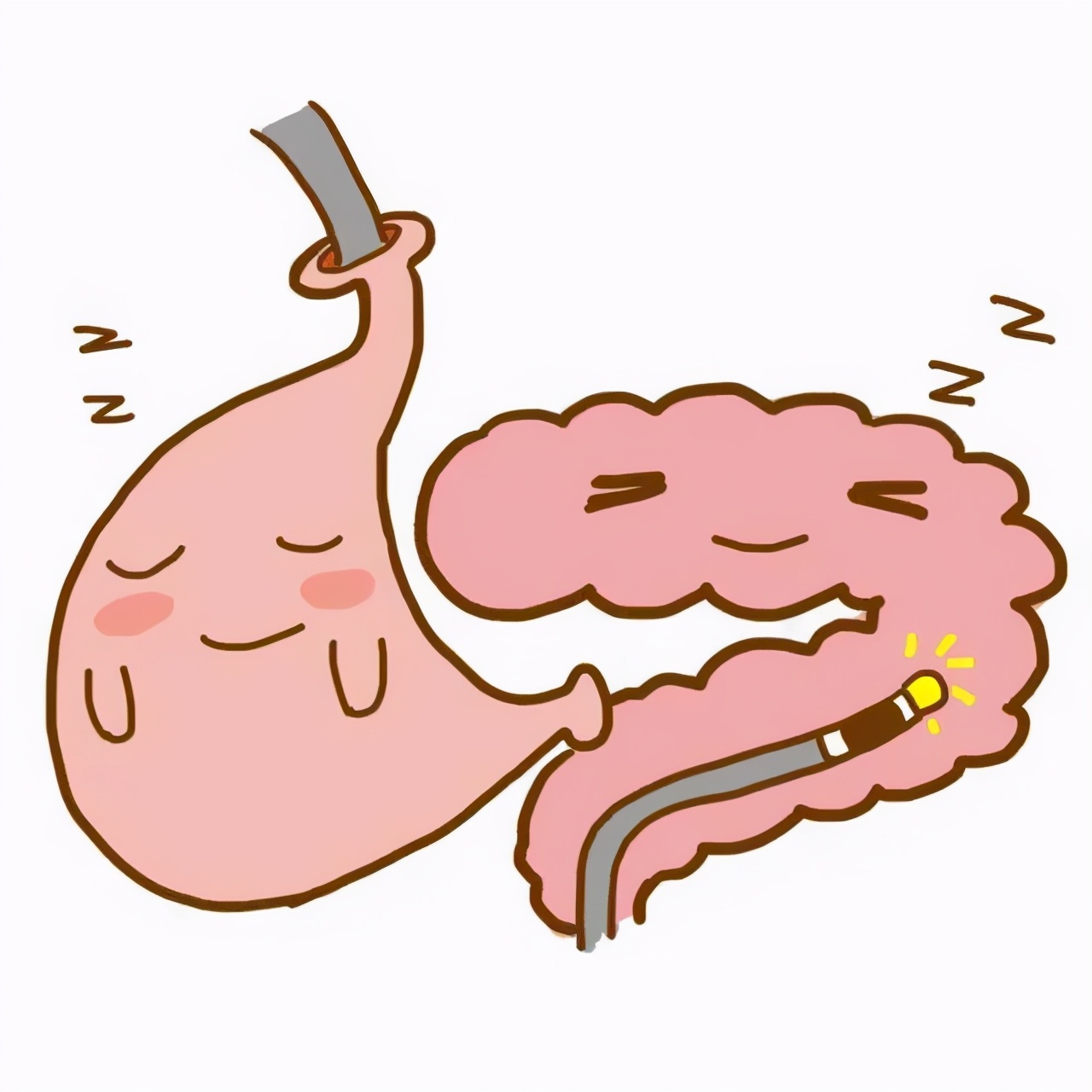 内镜超声引导下的肿瘤治疗例子,超声肿瘤筛查