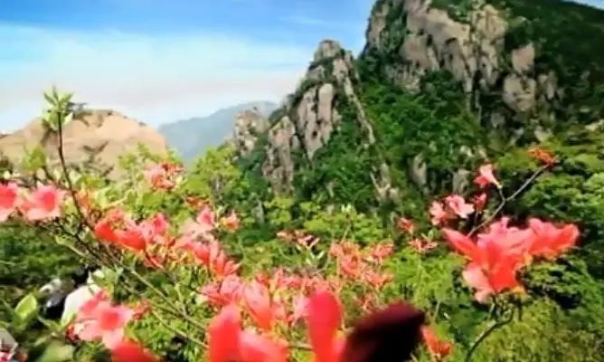 安徽黄山休宁流口虎泉景点,安徽徽州旅游景点简介黄山