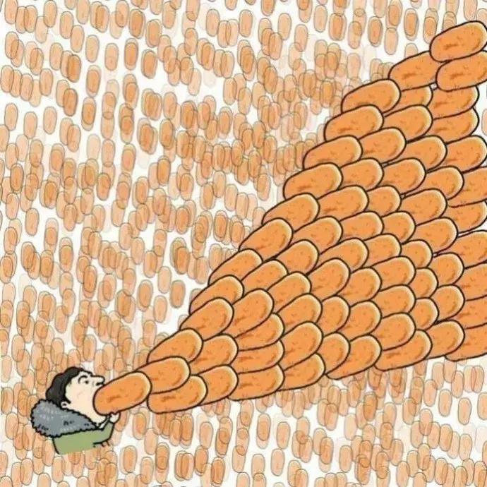 王思聪对比日本第一富二代,王思聪富二代该有的气质