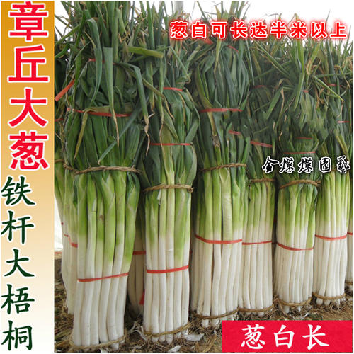 济南几大怪,济南十大怪事件