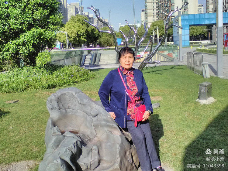 上海新国际博览中心延期,上海新国际博览中心在哪