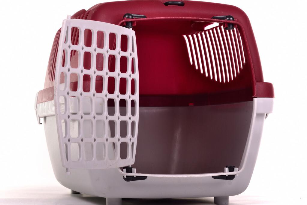 养猫经验分享新猫到家,养猫攻略新手养猫注意事项