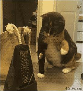 零基础小白学吉他教程,零基础跟着教科书学吉他