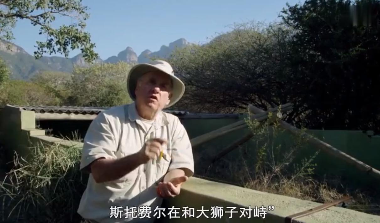 蜜獾为何如此凶猛,蜜獾那么凶猛真实的战斗力咋样