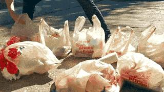 现在还敢去香港购物吗,佛山里水查假货