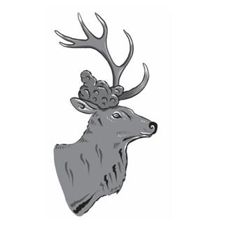 生物进化及自然选择,生物进化的历程简单进化树