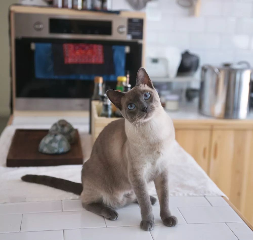 用水泥砌橱柜,用粘土捏一个好看的柜子