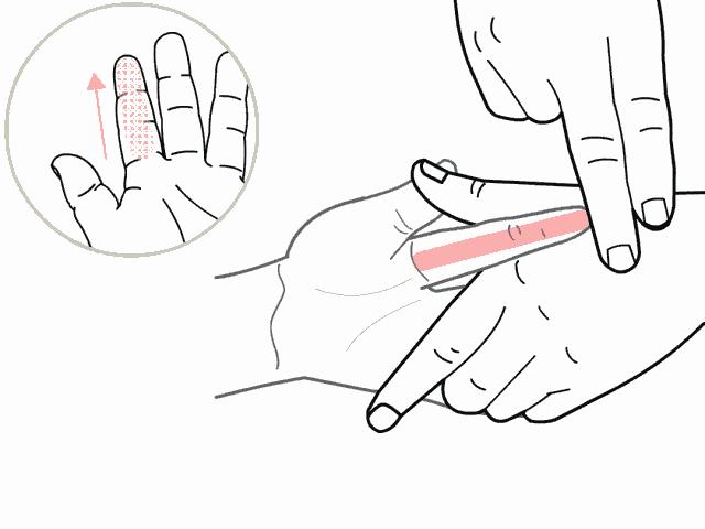 小孩脾胃虚总遗尿怎么办,肝经郁热引起抽动和遗尿