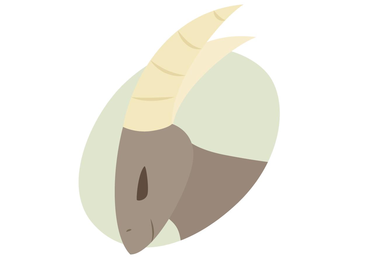 12星座最喜欢什么礼物,12星座最想得到哪个星座