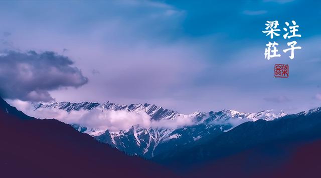 梁冬对话徐文兵肠道菌群,梁冬你的真正面目到底是什么