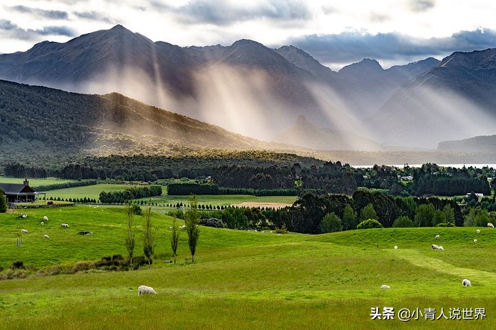 新西兰创业移民真实历程,新西兰的前景如何