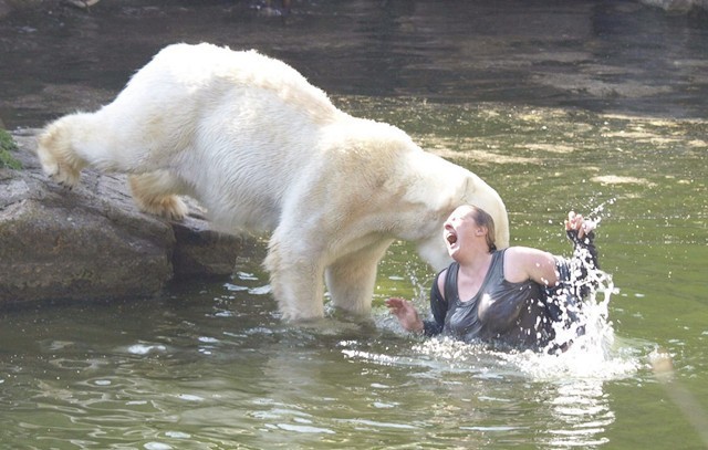 老虎咬死人事件真相,八达岭老虎咬游客事件