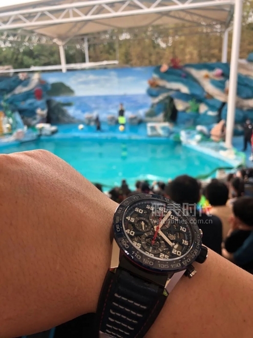 网友晒上千万的手表,网友晒1300手表