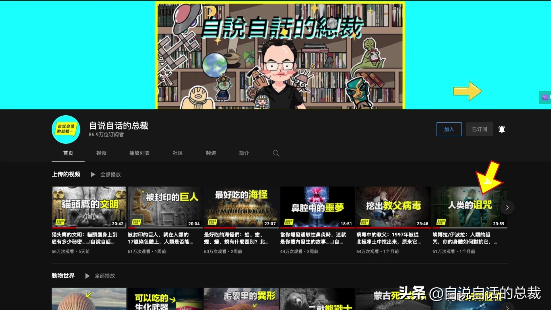 全世界的柠檬都读Lemon?这背后有一个刻在8号染色体上的上古故事