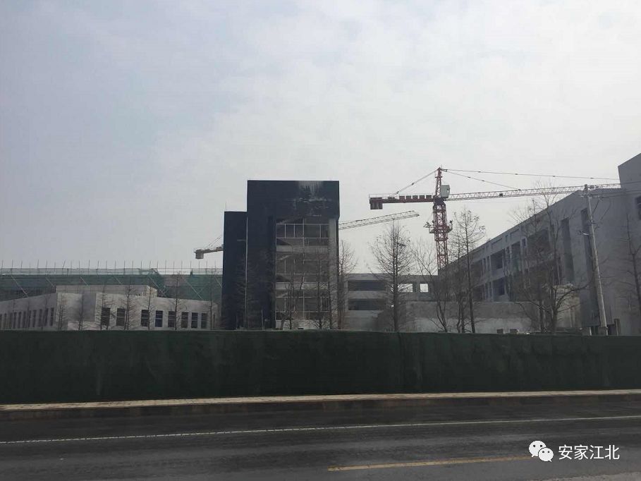 北京东路小学开发区分校,北京东路小学分校紫金分校怎么样